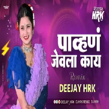 Pahun Jevlaa Kay (Marathi Remix)   Dj HRK