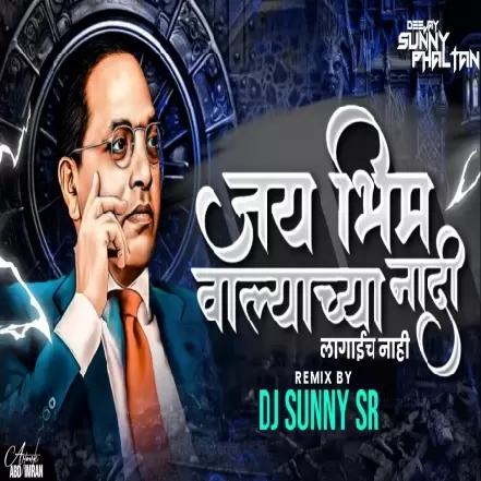 JAY BHIM WALYACHYA NAADI LAGAICH NAHI   DJ SUNNY SR