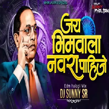 JAY BHIM WALA NAVRA PAHIJE   EDM HALAGI MIX   DJ SUNNY SR