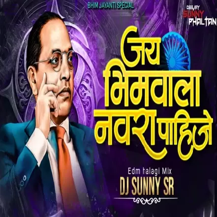 JAY BHIM WALA NAVRA PAHIJE   EDM HALAGI MIX   DJ SUNNY SR