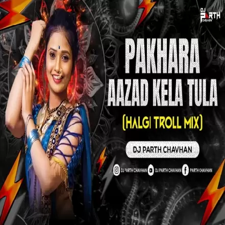 Pakhara Aazad Kela Tula (Halgi Troll Mix)  Dj Parth Chavhan