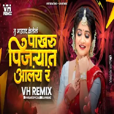 Pakharu Pinjryat Alay Ra   VH Remix