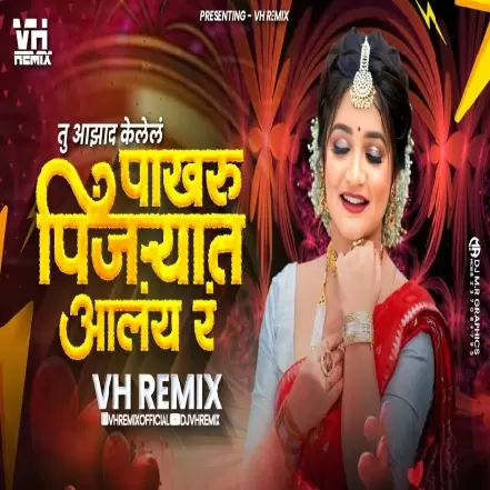 Pakharu Pinjryat Alay Ra   VH Remix