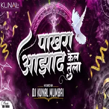 Pakhara Aazad Kela Tula (Remix) Dj Kunal Mumbai