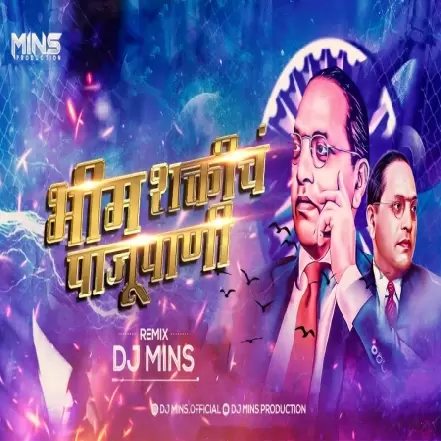 Bhim shakticha Paju Pani (Remix) DJ Mins