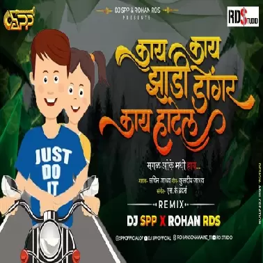 KAY JHADI KAY DONGAR   DJ SPP x ROHAN RDS